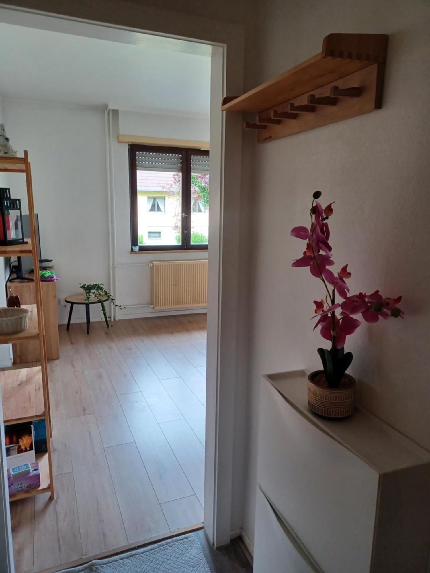 Studio Rdc Calme Avec Parking Ferme Pres Autoroute Et Tram C 牟罗兹 外观 照片